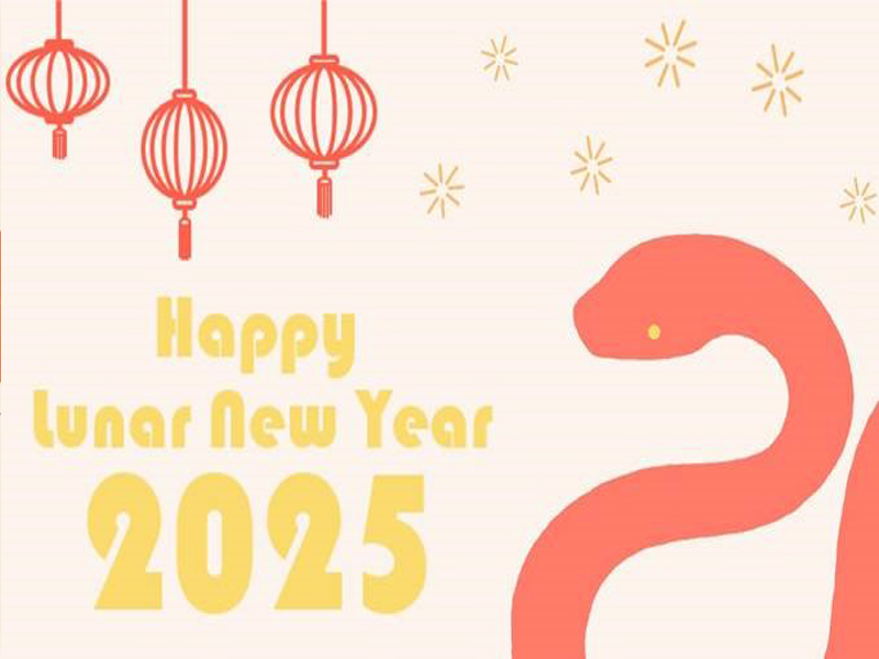 Happy Chinese New Year 2025